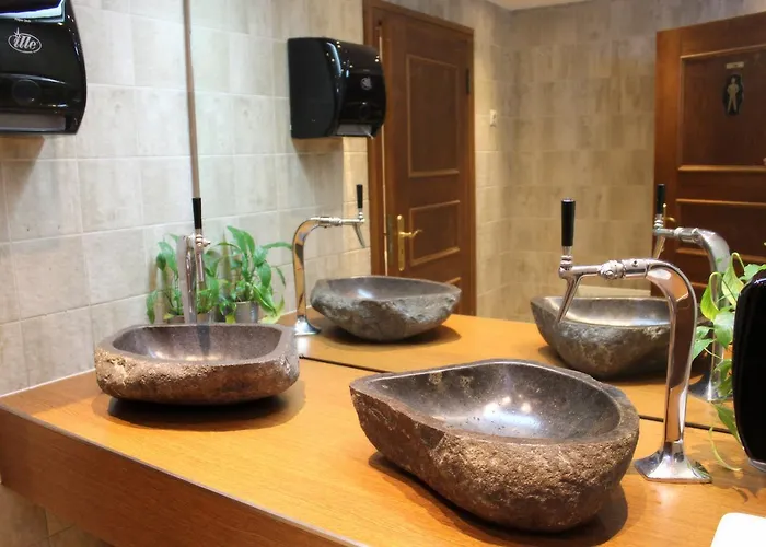 Schiff Hotel Fribourg im Breisgau