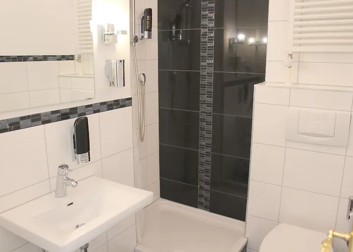 Schiff Hotel Fribourg im Breisgau