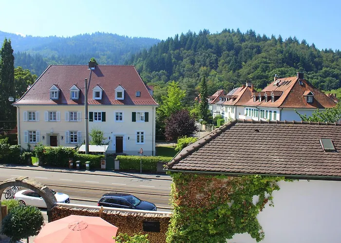 Schiff Fribourg im Breisgau