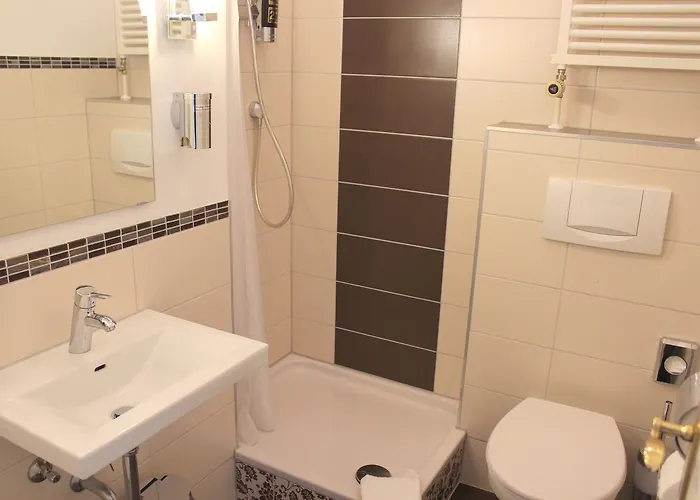 Schiff Hotel Fribourg im Breisgau